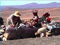 visit of arequipa   pass of patapampa  4890 m 