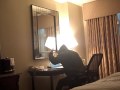 New Orleans / Halloween / DJ Days