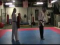 2009 SDI Seminar  Karate Rep Class, Part 5