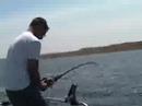 catching-8-ft-sturgeon-on-hanford-reach.html