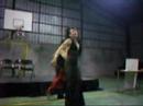 Dion Landau, Shows a beneficio