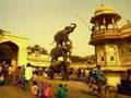View Video