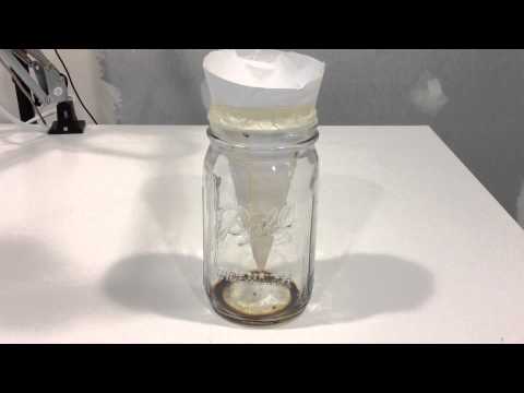 how to get rid of gnats in bathroom sink