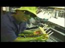 I GROW CHRONIC - PART 6 (legendado)