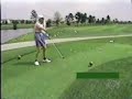 Golfer Hits Bird Accidentally Golfer Hits Bird Accidentally