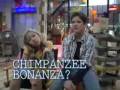 icarly!!!