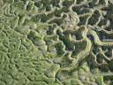 Do�ana desde el aire