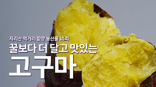 지리산 먹거리 함양 농산물 15회 - 고구마
