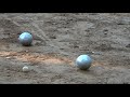 petanque at the gazoza field [basileiou, michalo, kmitphoto, xristakos - mario: cameraman, sound engineer & comments]