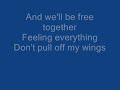 Don't Pull Off My Wings