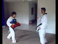 Taedragons Taekwondo Cunorte