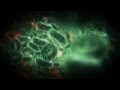 Chaos theory (official video) 