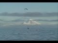 Pollock Trawling in Alaska part 1 Pollock Trawling in Alaska part 1