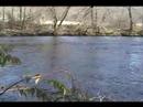 Watching The River Run