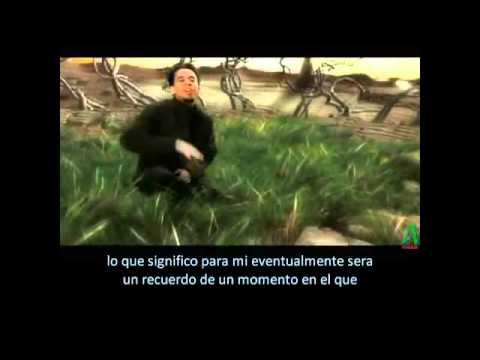 Imagen de previsualización de YouTube