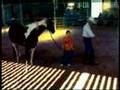 Equine Facilitated Learning (EFL)