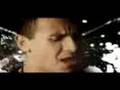 Paraiso- Fonseca- Gratitud