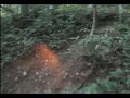 KTM 300 EXC Singletrack KTM 300 EXC Singletrack