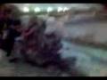 videos de Raiz