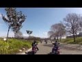Our Videos Our Videos