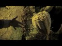 \"Il mondo sospeso\" secondo Sergio Siano
