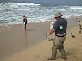 Smelt Fishing in Half Moon Bay