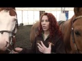 Cavalia Prepares for Opening Night at Marymoor Park