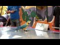Smart parrot doing math