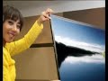 OLED EL NUEVO LCD