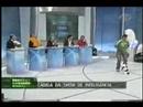 glauco adestrador o mago dos caes glauco adestrador o mago dos caes