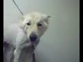 Karma talking while shes gettin dried