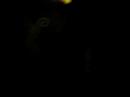 17.5.08 - Ostriga (Rnt)