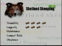 Thumbnail #3