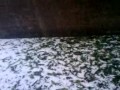 first time in Lahore... heavy snow falling in lahore