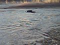 truck stuck in wapiti river