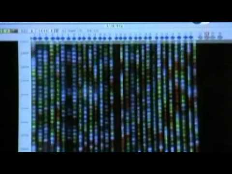 VIDA SINTÉTICA EL FUTURO DE LA HUMANIDAD Vida Sintética