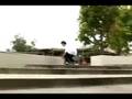 Beagle-Baker has a deathwish