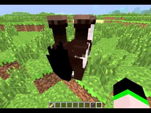 how to use a name tag in minecraft
