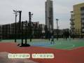憧憬2020──延續香江歲月—myhk2020