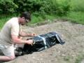 Remove and Relocate a Wild Skunk 2