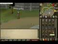 videos de 0h u owned pk tanssi xD