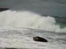 surf Dee Why