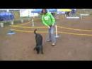 AKC Rally Trial June 28-29th 2008 AKC Rally Trial June 28-29th 2008
