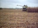 moisson ma�s grain