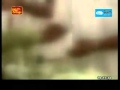 mahindage awasanawa kollange karapitata.flv