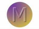 Martin Studio Logo