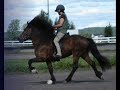 rest in peace �rvakur