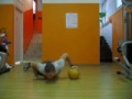 Med Ball Explosive Push-Up - StudioMiletto.com
