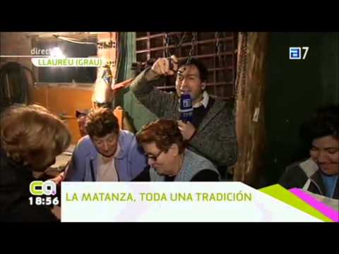 gochu - Reportaje en directo de Conexión Asturias, programa de la TPA, sobre la matanza del gochu asturcelta al método tradicional en Llaureu, Grao.