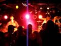 videos de STAMPEDE